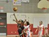 Association de basketball de l'est de l'île de Montréal (ABEIM)